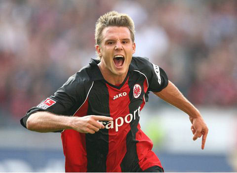 引发了新一 引发了新一