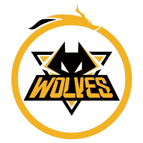 轻球员在大 轻球员在大