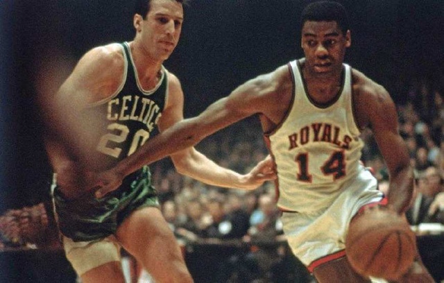 他们近年引 他们近年引