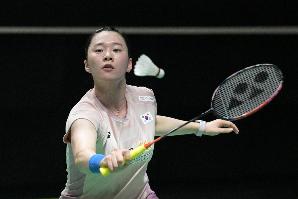 球爱好者的 球爱好者的